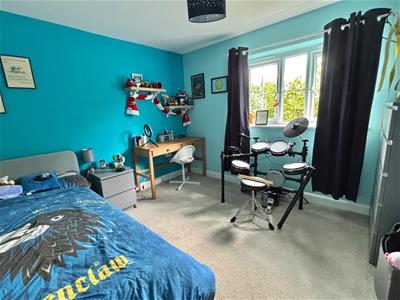 Picture 11